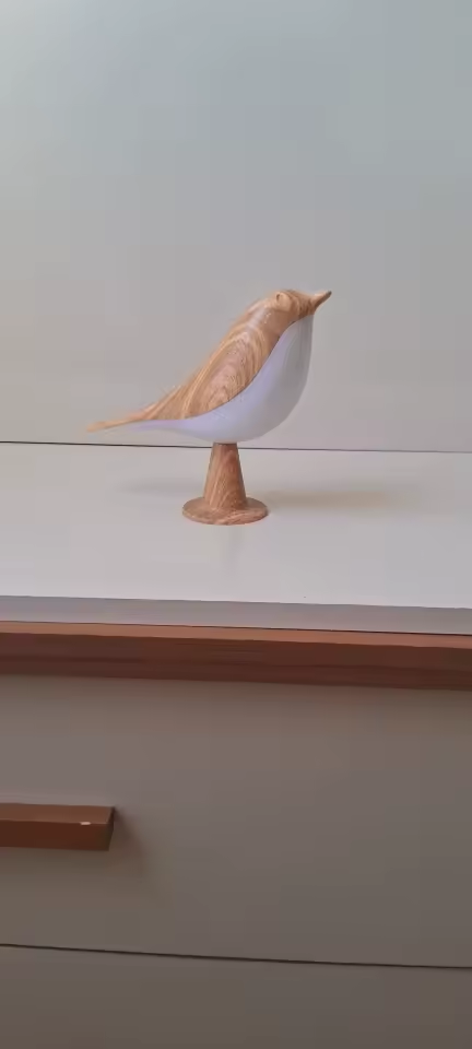 Svala i rigtige hjem
